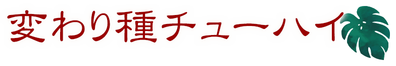 変わり種チューハイ