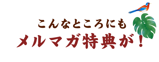 こんなところにも